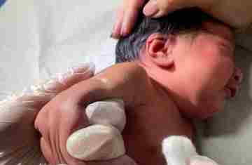 Paraná amplia vacinação da BCG em maternidades e protege bebês contra a tuberculose